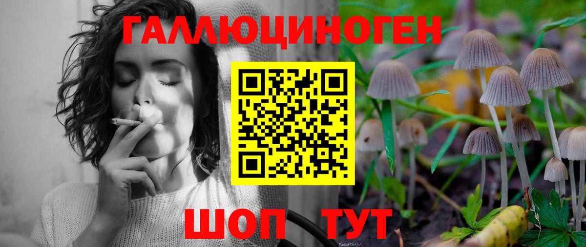 Псилоцибиновые грибы MAGIC MUSHROOMS Ликино-Дулёво