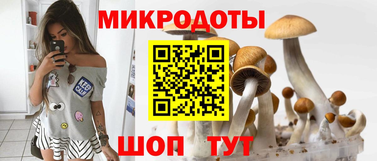 Псилоцибиновые грибы Psilocybe  Галлюциногенные грибы GOLDEN TEACHER  Вход с VPN  Ликино-Дулёво 